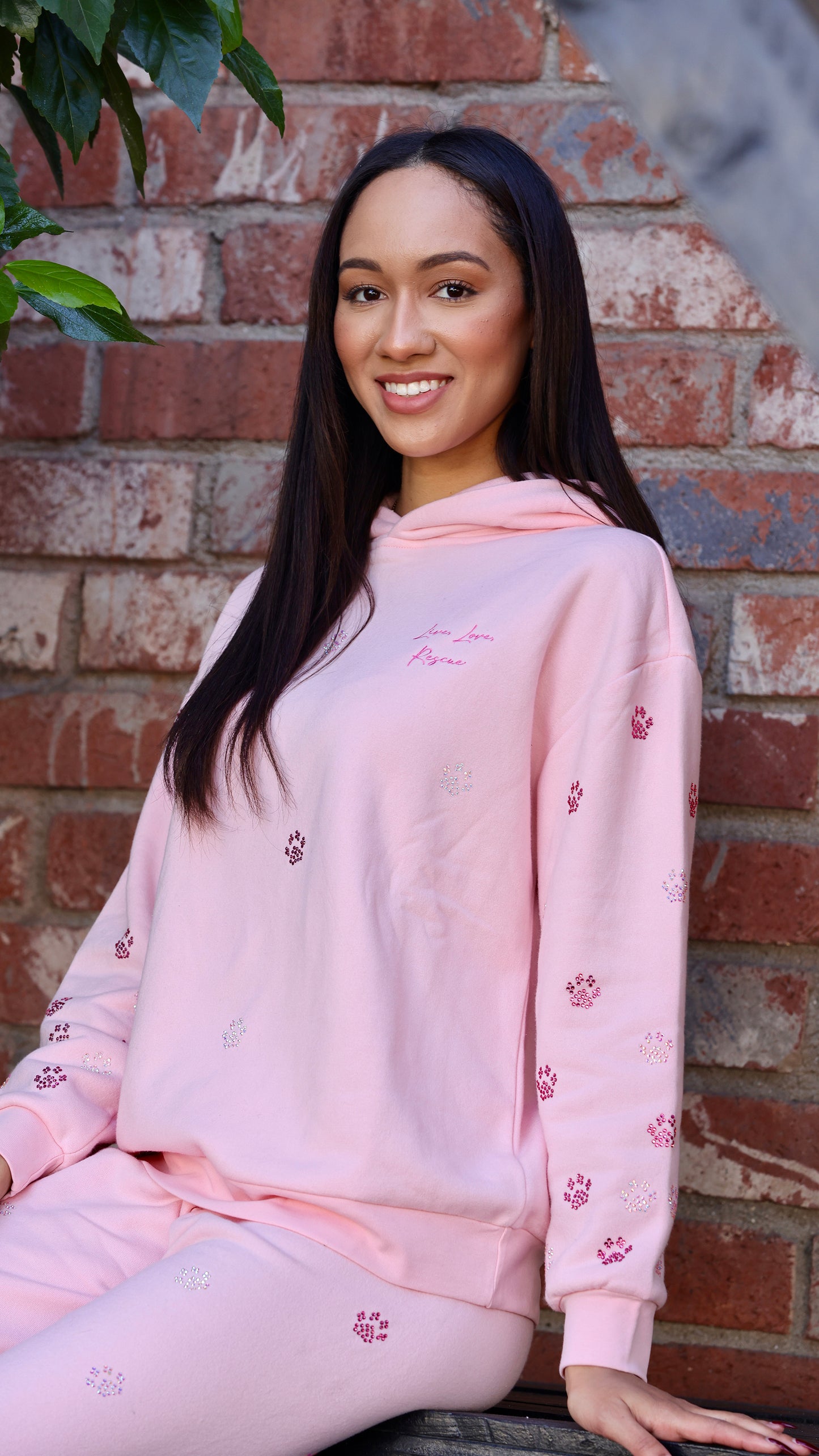 Vanderpump Dog Paws Crystal Hoodie (PINK)