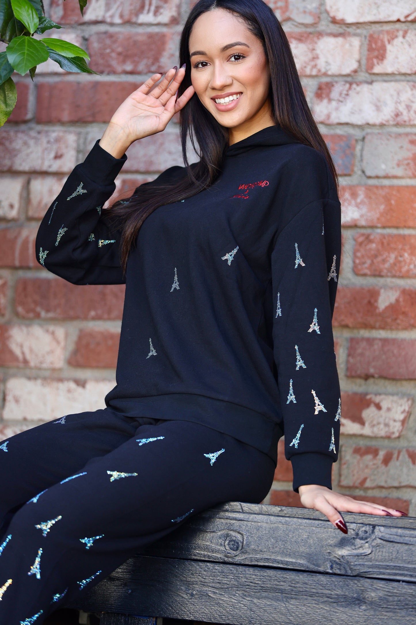 Vanderpump à Paris Eiffel Tower Crystal Hoodie